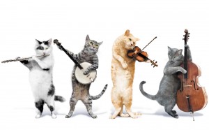 Jingle Cats First Meowel. (PRNewsFoto/Jingle Cats Music)